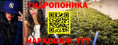 СК Ангарск