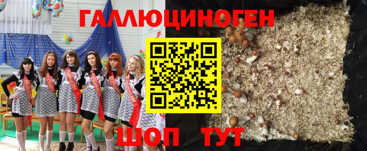 где найти наркотики  Вход с VPN  Глазов  Галлюциногенные грибы MAGIC MUSHROOMS 