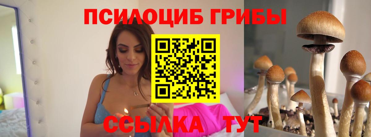 Псилоцибиновые грибы MAGIC MUSHROOMS Глазов